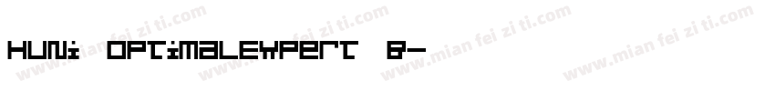 Huni_OptimalExpert B字体转换